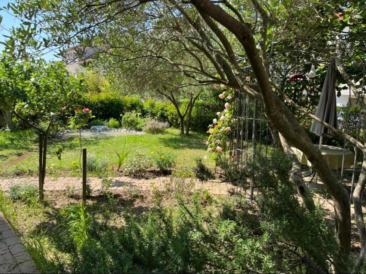 Studio Apartment Elena Zadar Zewnętrze zdjęcie